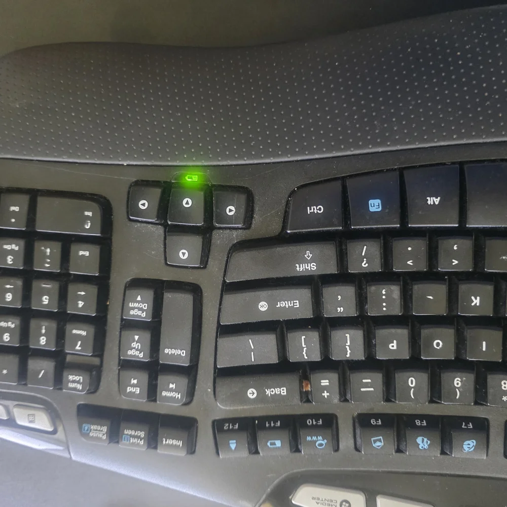 Lenovo Black Wired Multimedia Keyboard with Integrated Palm Rest